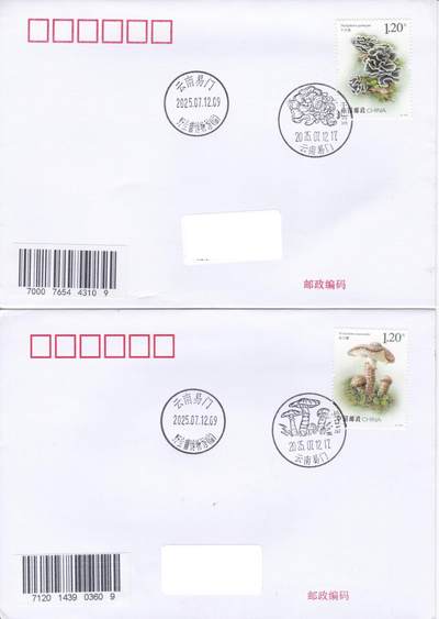 02月19日（周四）20:00 中国大陆2025年首日实寄封 - 2025中国大陆《食用菌（二）》一票一封 加盖对应风景戳 云南野生菌博物馆原地首日平寄国内 一套4枚