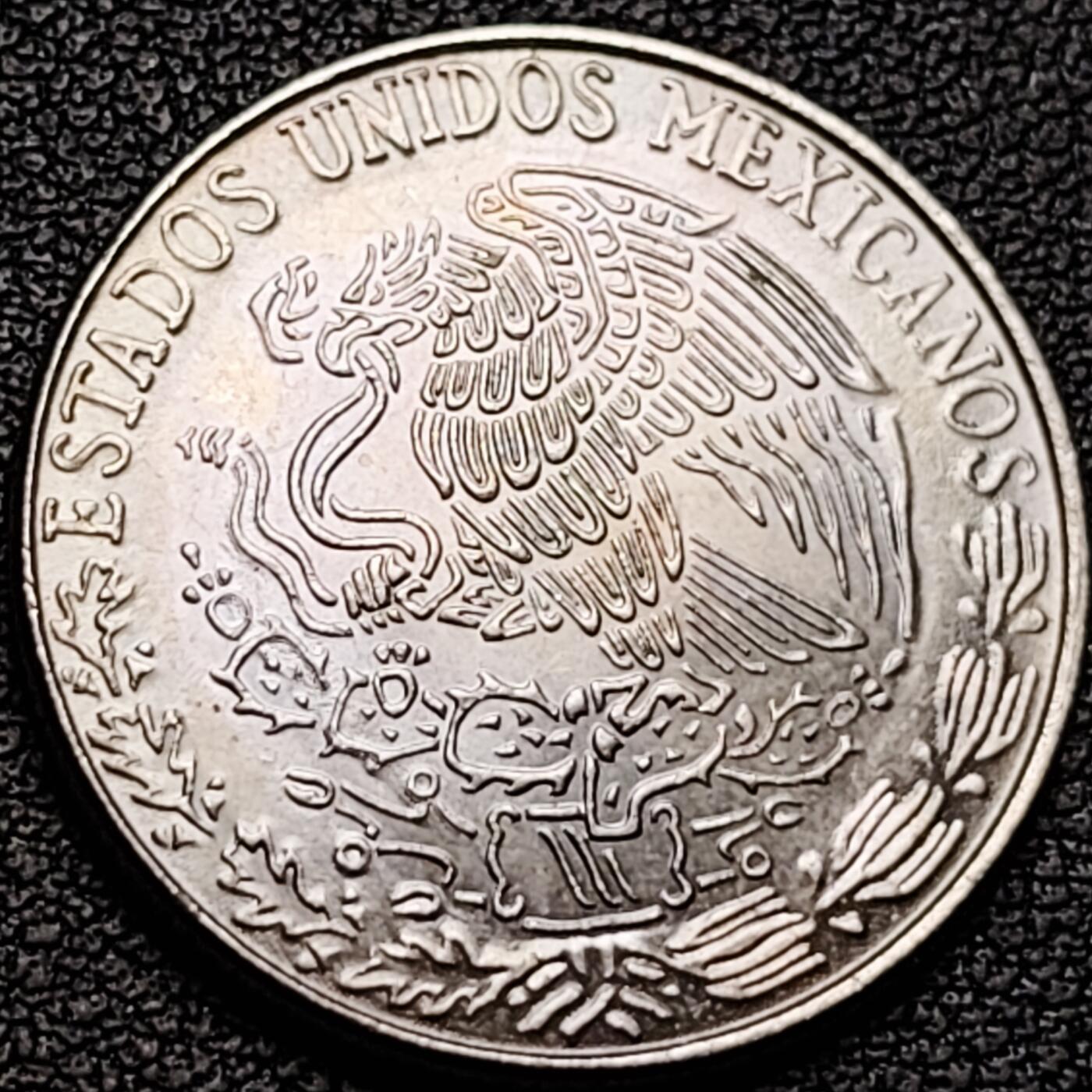 泉币菌-第184场- 精品福利场 。