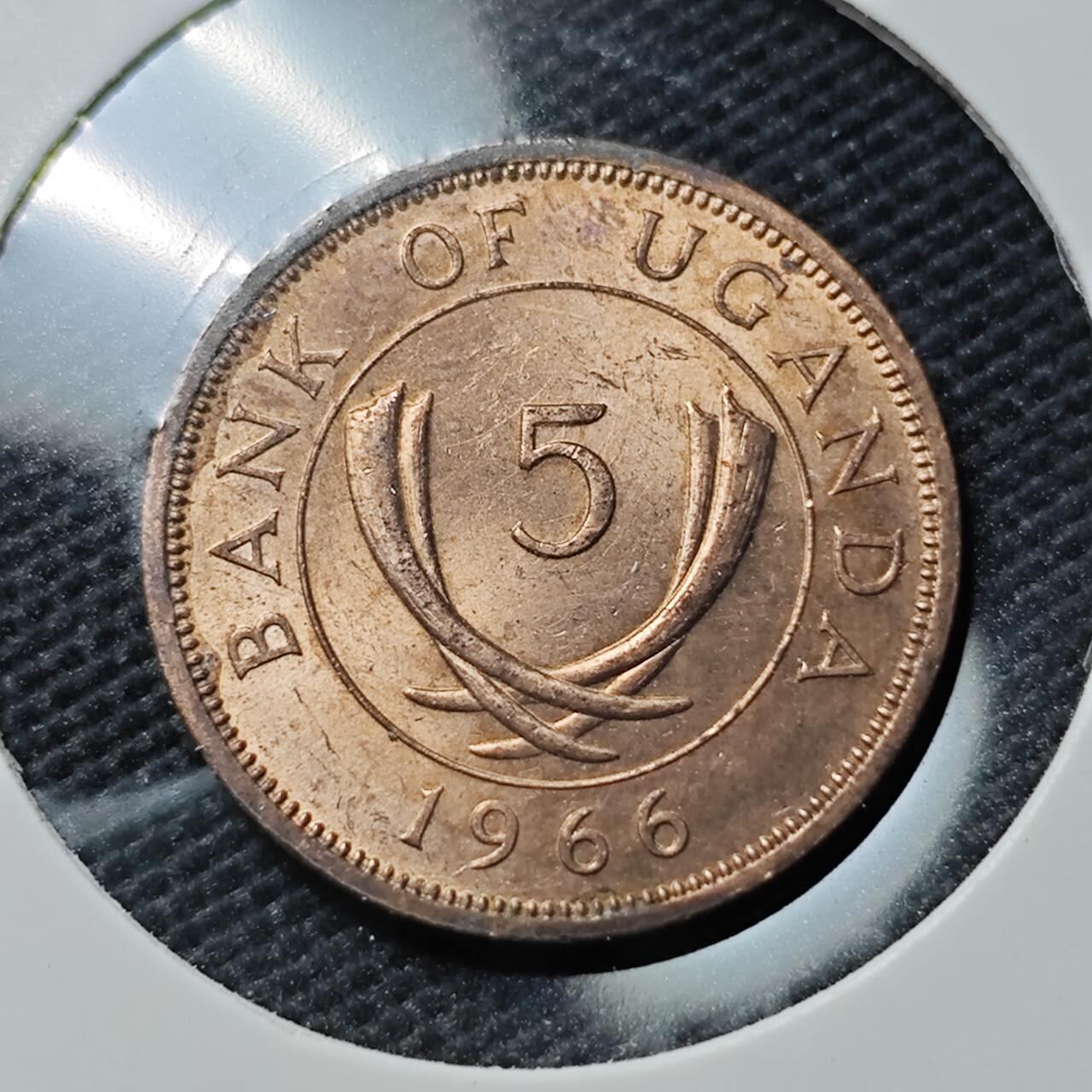 KK钱币收藏小铺  第395期  2月预留时间 周末发货