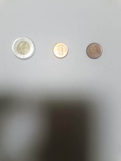 【20260210】非全新纸币和硬币第333场 - 加拿大2.02加元