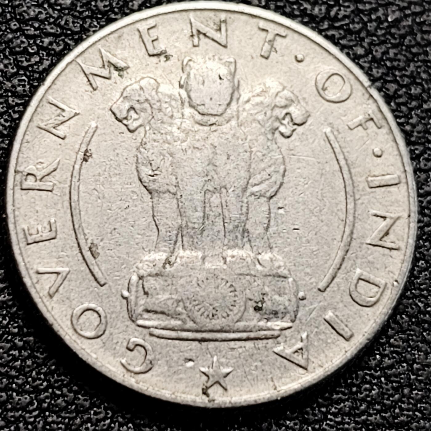 泉币菌-第183场- 精品福利场 。