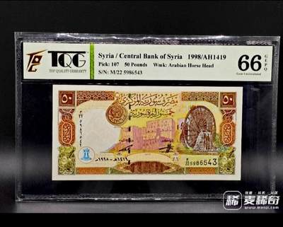 全新叙利亚1998年TQG66E50磅超级靓品纸币 - 全新叙利亚1998年TQG66E50磅超级靓品纸币