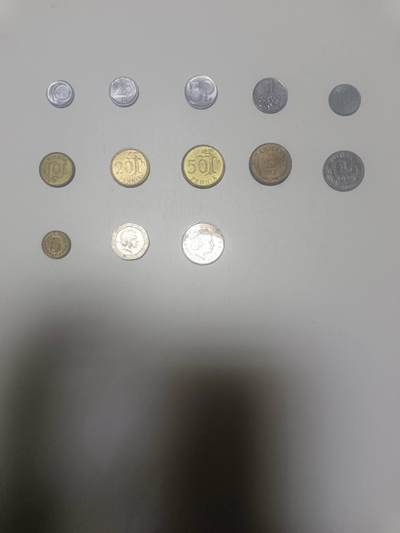 【20260210】非全新纸币和硬币第333场 - 欧洲国家13枚硬币