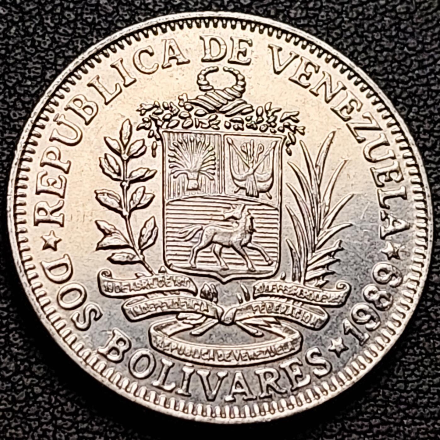 泉币菌-第184场- 精品福利场 。