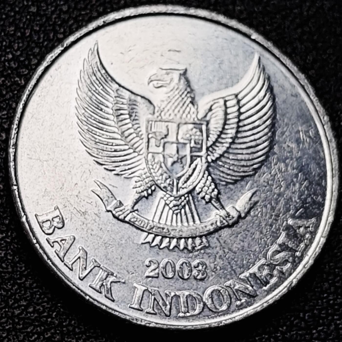 泉币菌-第182场- 精品福利场 。