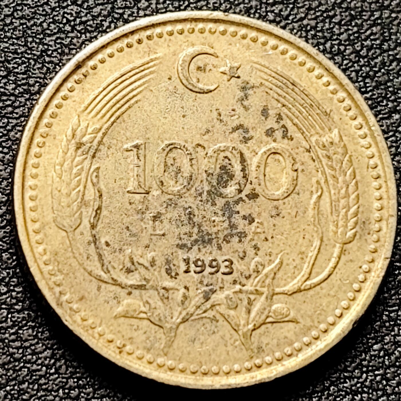 泉币菌-第182场- 精品福利场 。