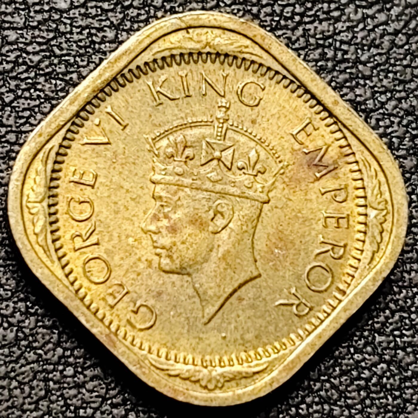 泉币菌-第184场- 精品福利场 。