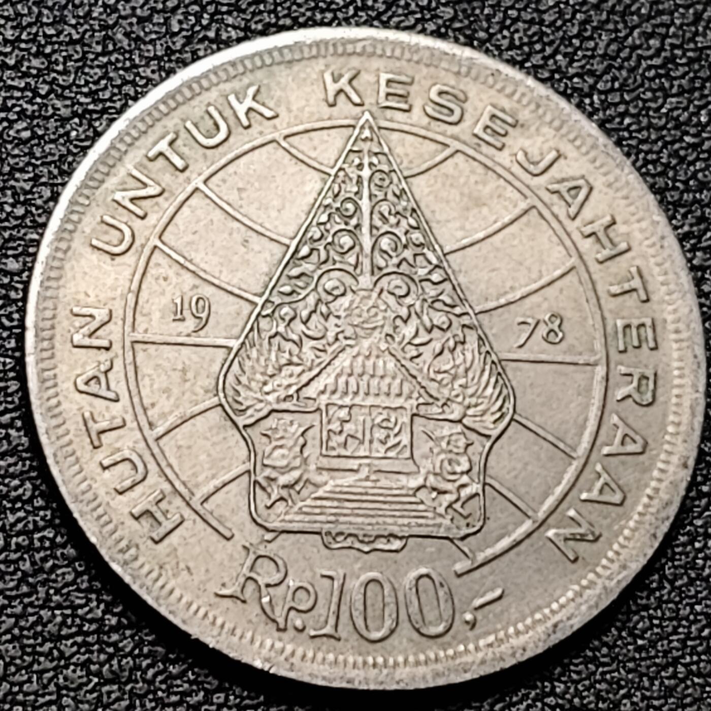 泉币菌-第185场- 精品福利场 。