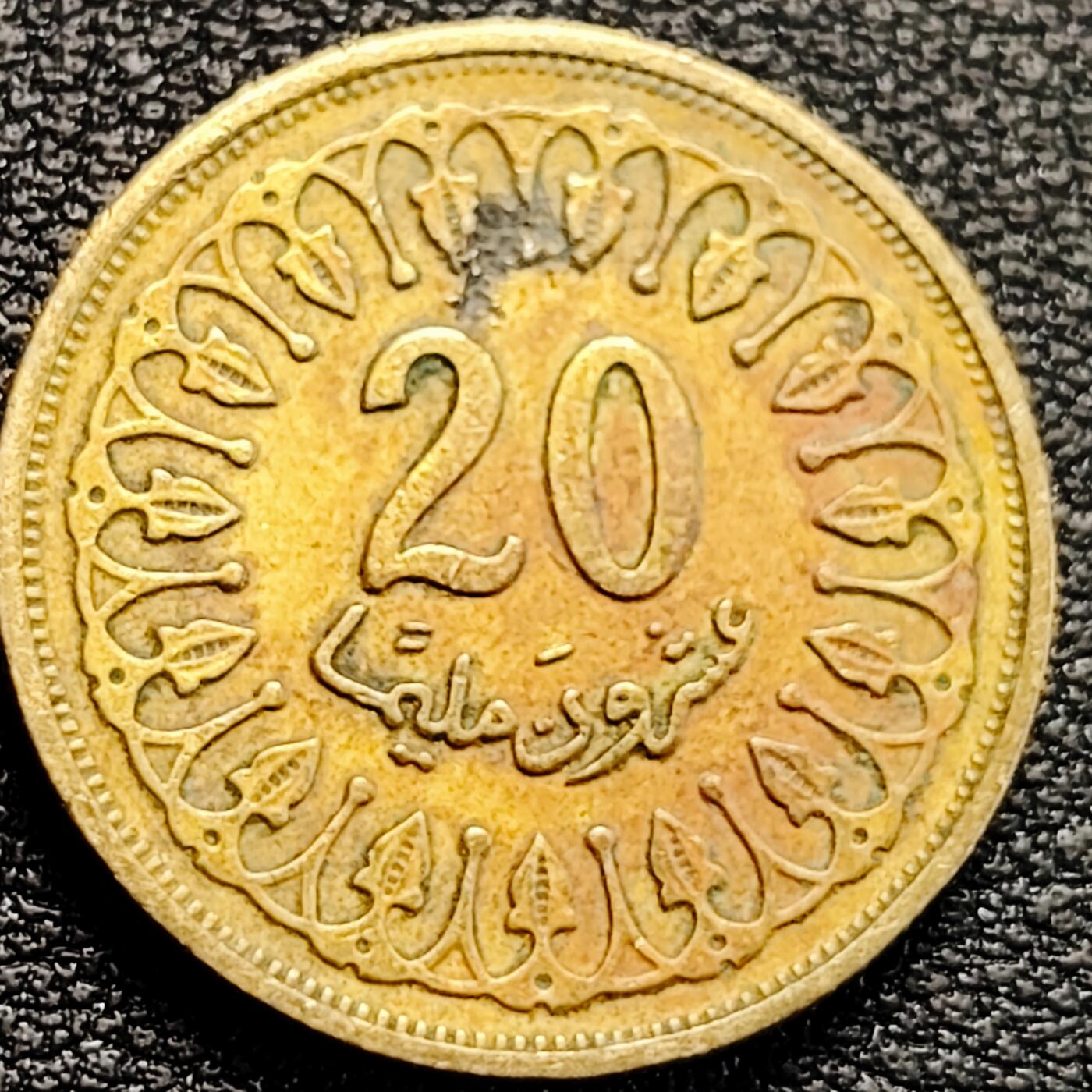 泉币菌-第183场- 精品福利场 。