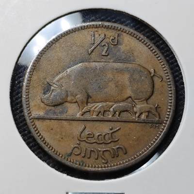 KK钱币收藏小铺  第395期  2月预留时间 周末发货 - 1966爱尔兰1/2便士铜币
