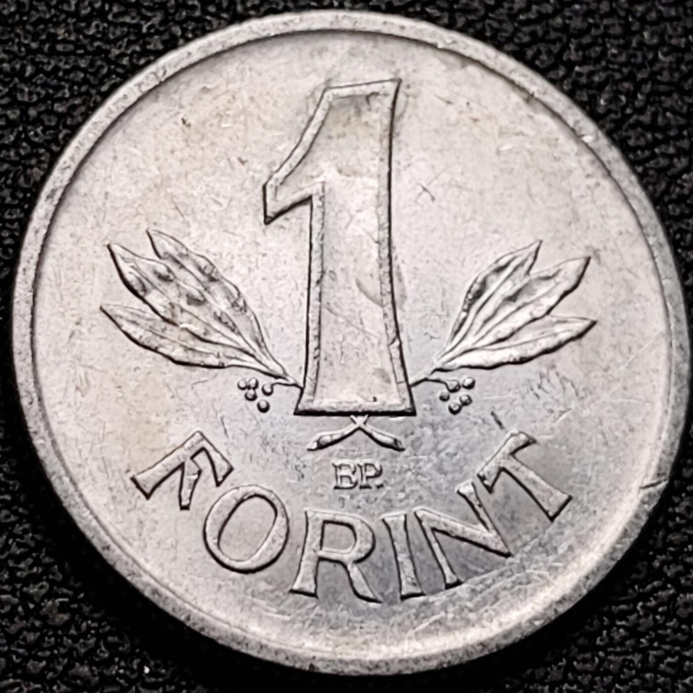 泉币菌-第184场- 精品福利场 。