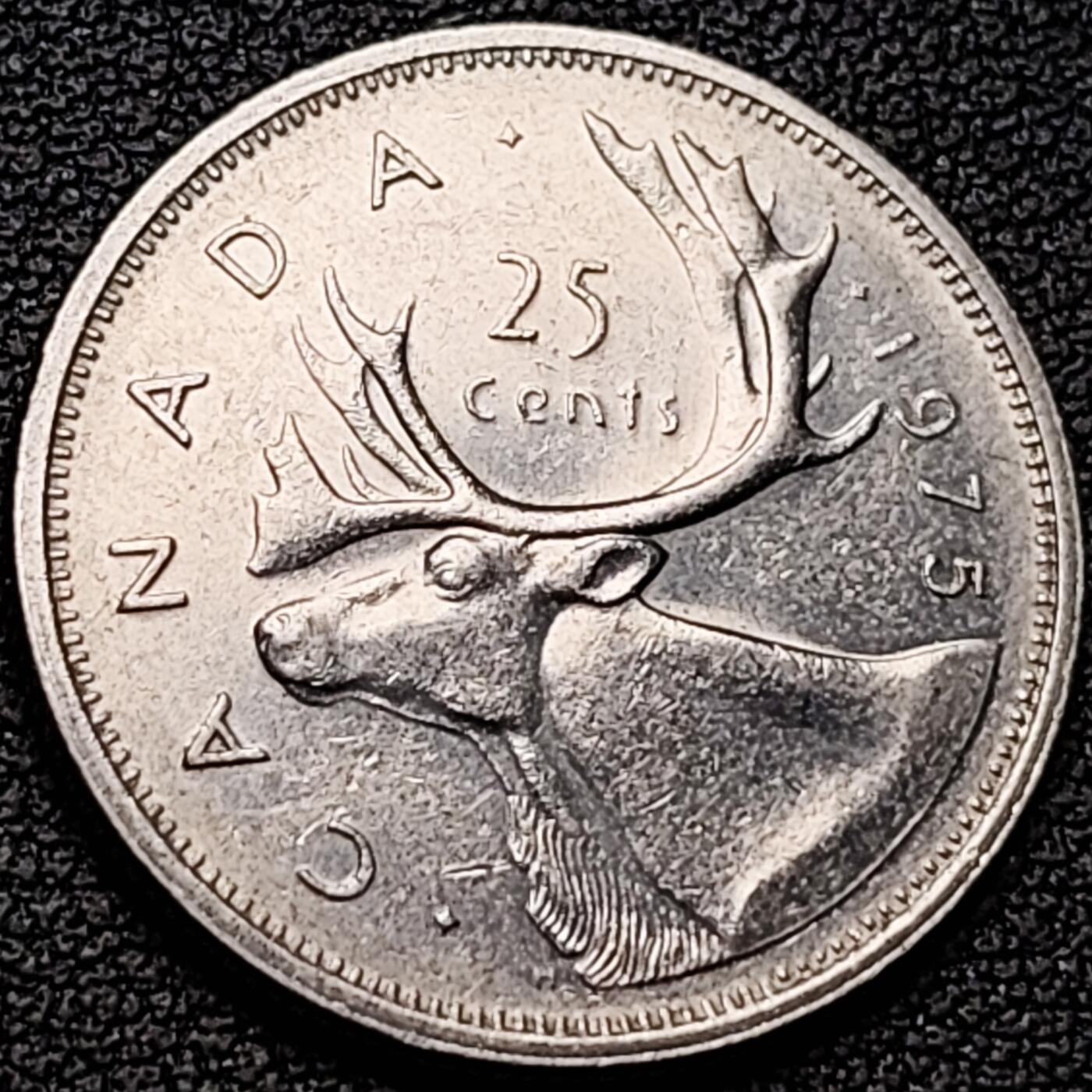 泉币菌-第184场- 精品福利场 。