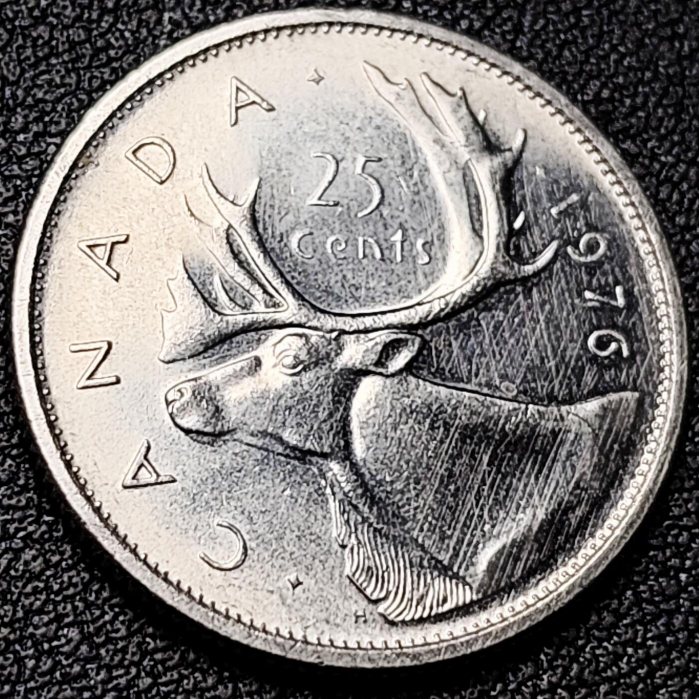 泉币菌-第182场- 精品福利场 。