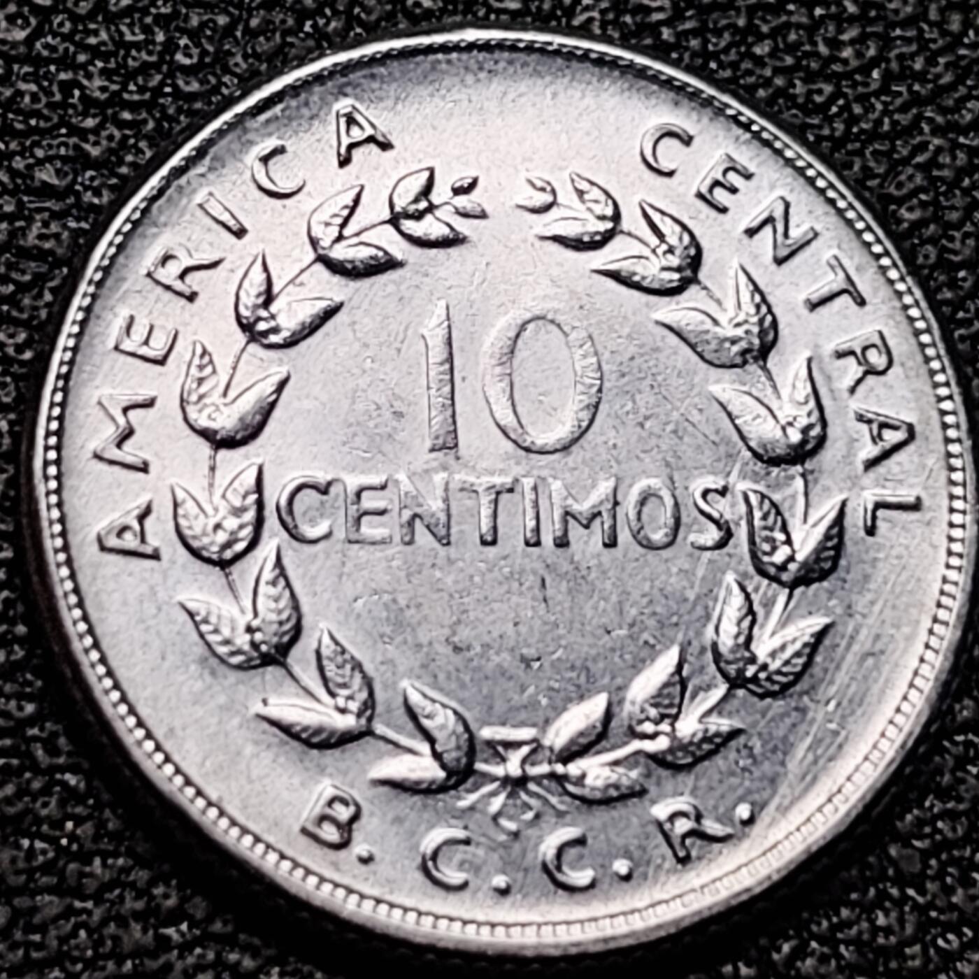 泉币菌-第185场- 精品福利场 。