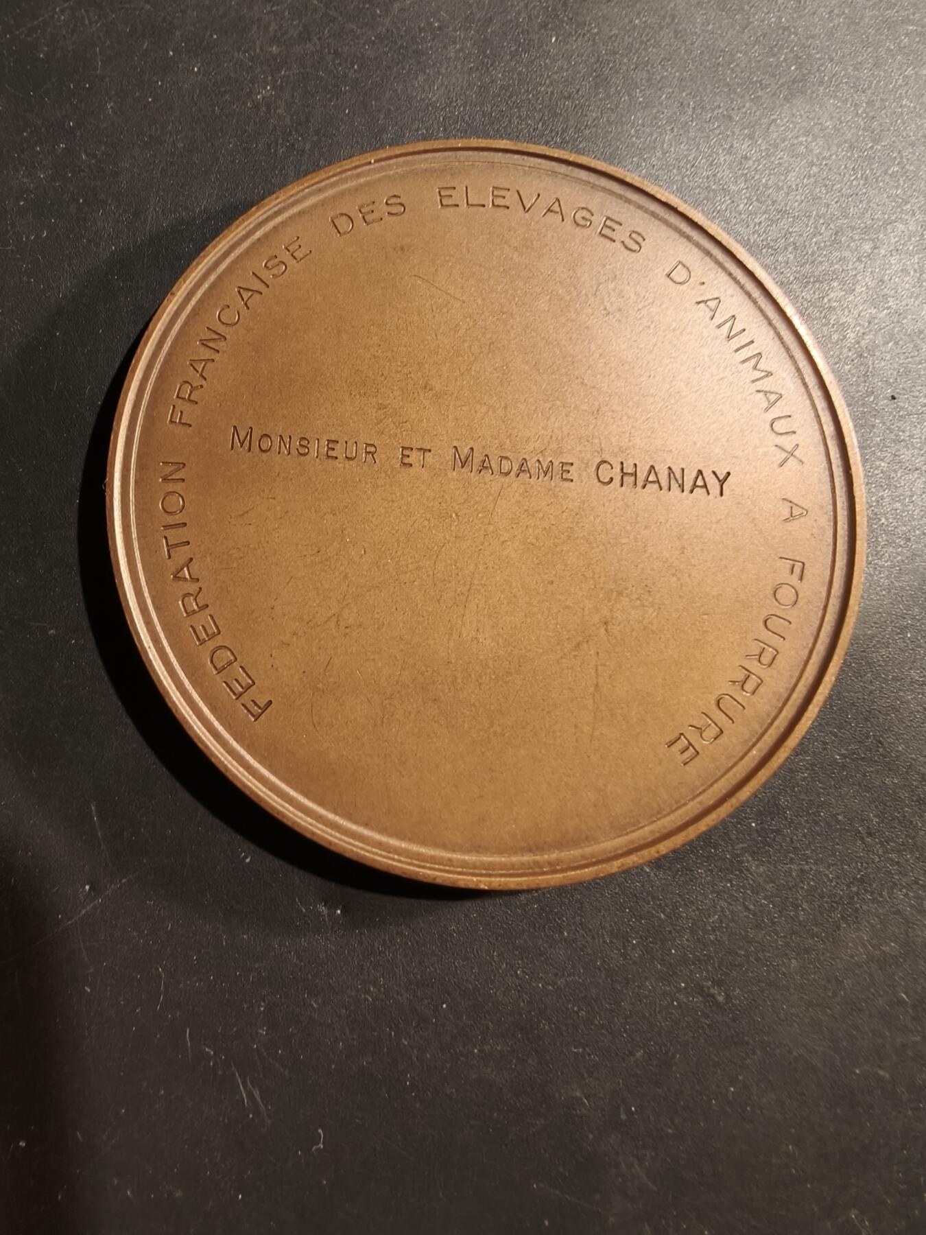 老王徽章第181期