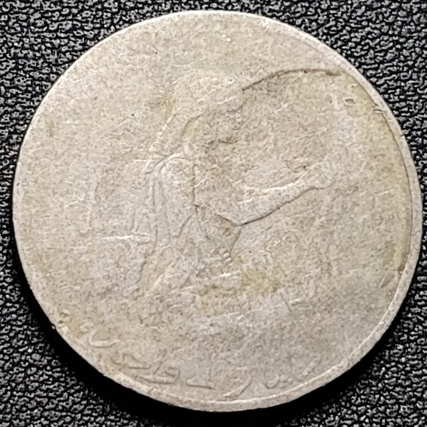 泉币菌-第185场- 精品福利场 。