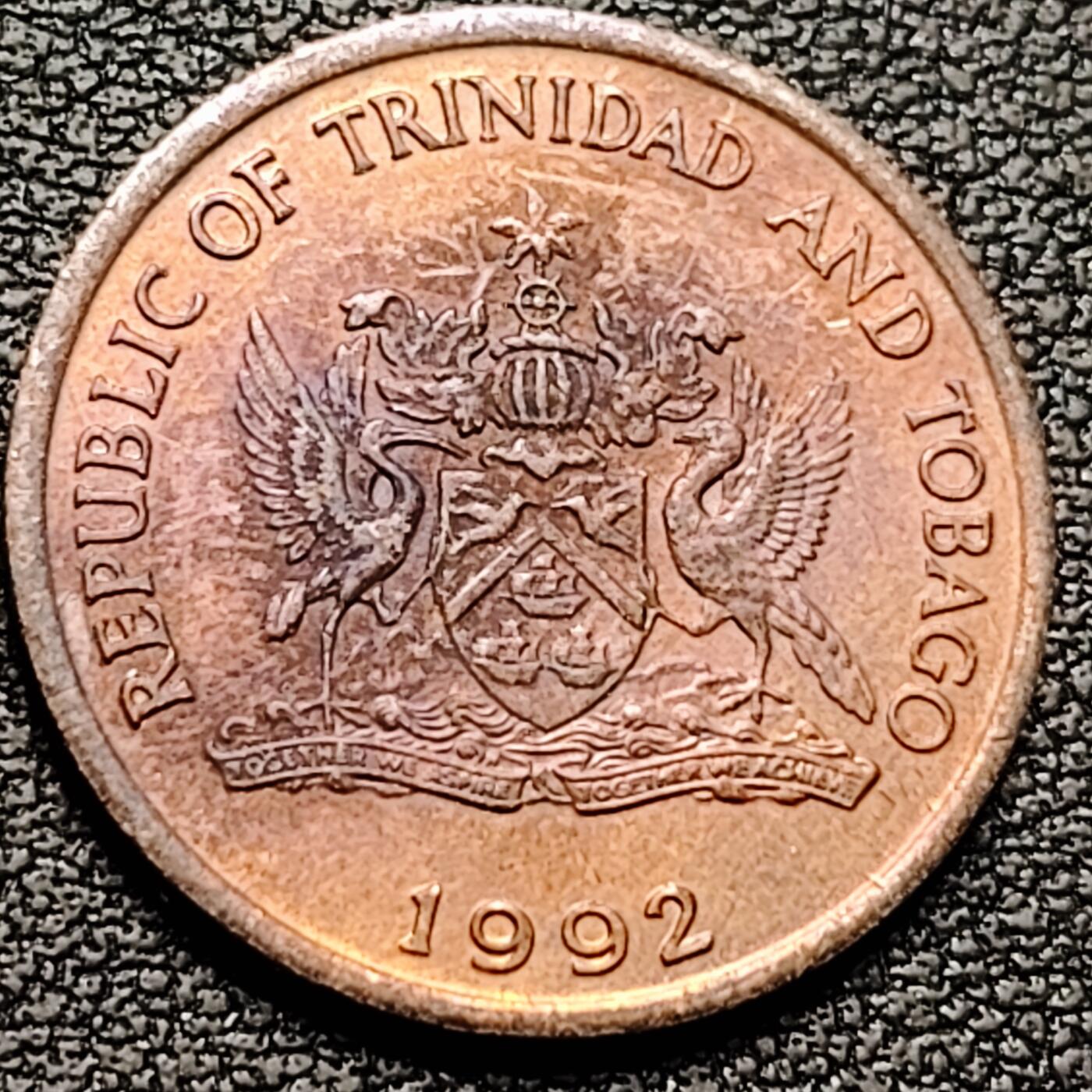 泉币菌-第184场- 精品福利场 。