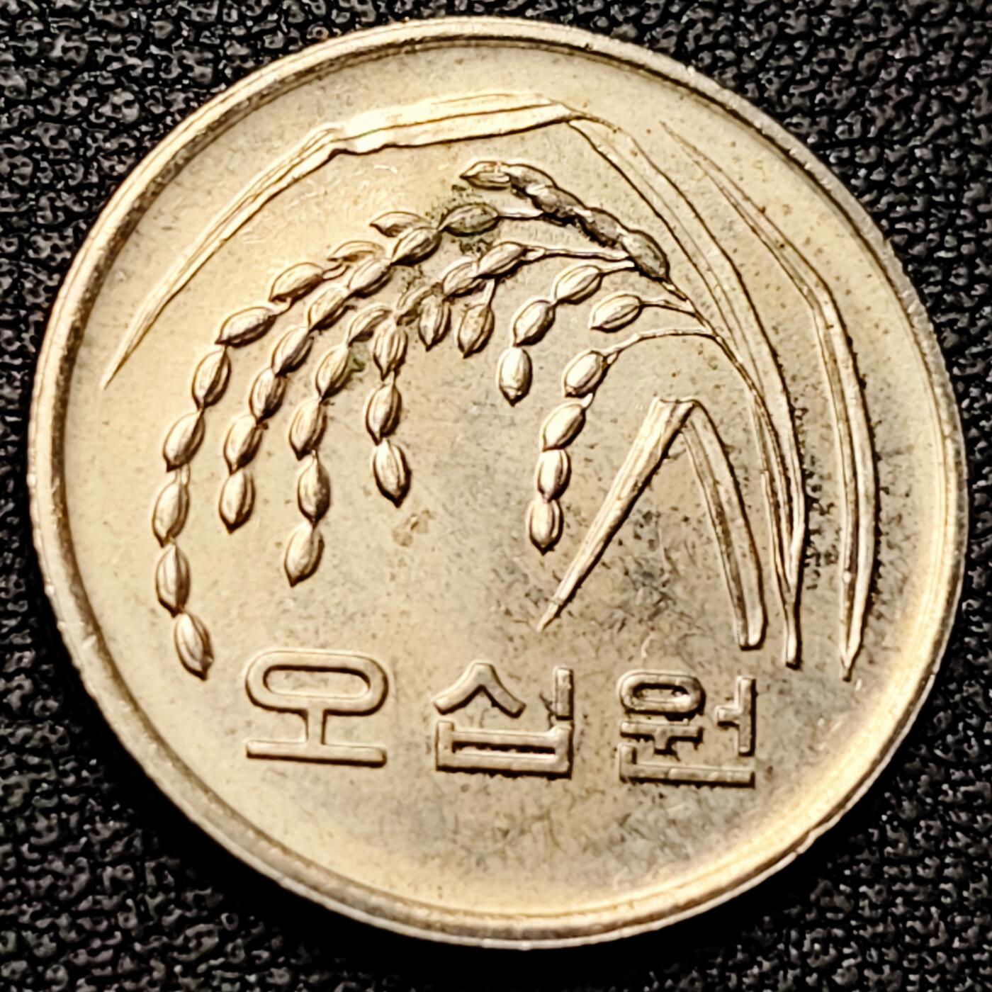 泉币菌-第182场- 精品福利场 。