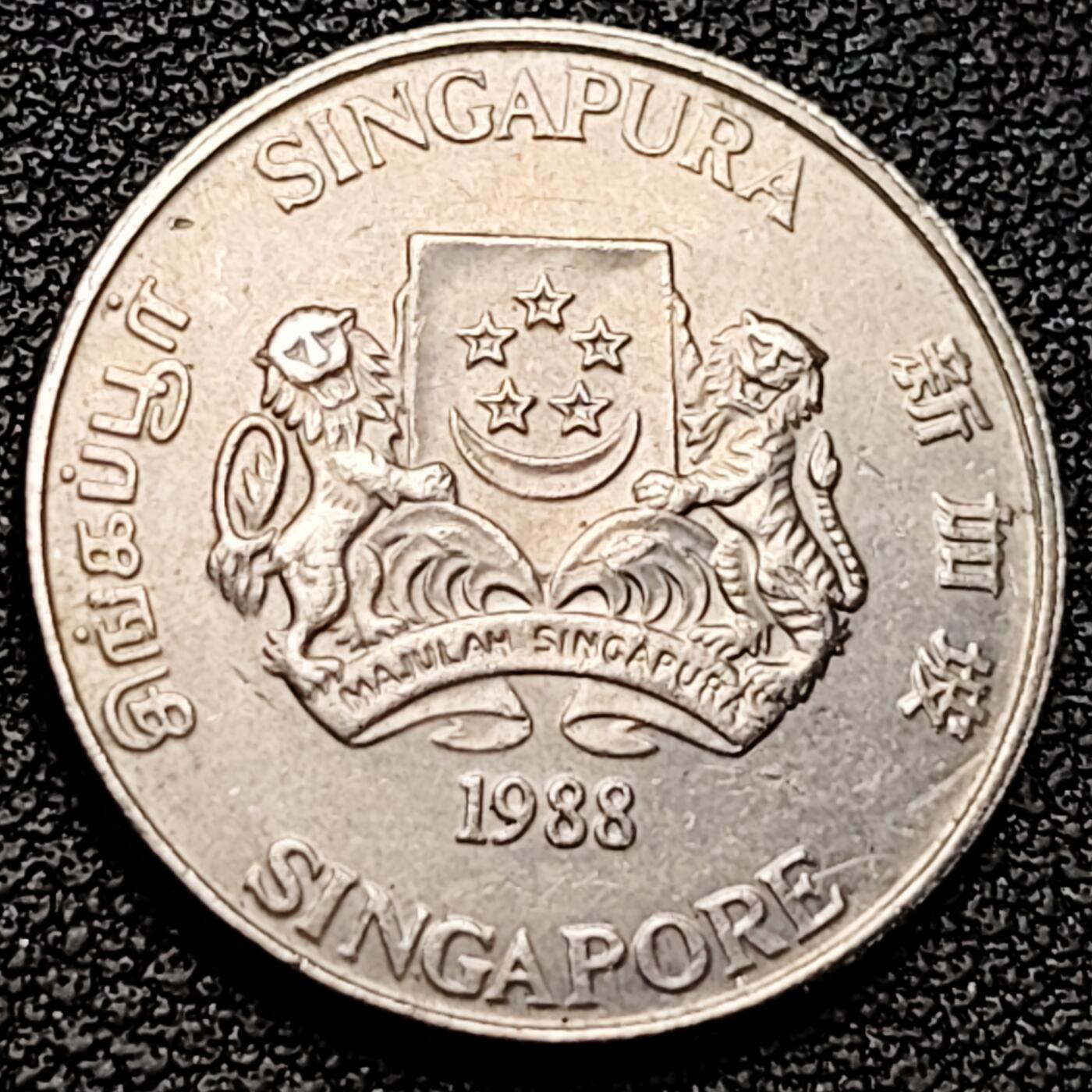 泉币菌-第185场- 精品福利场 。