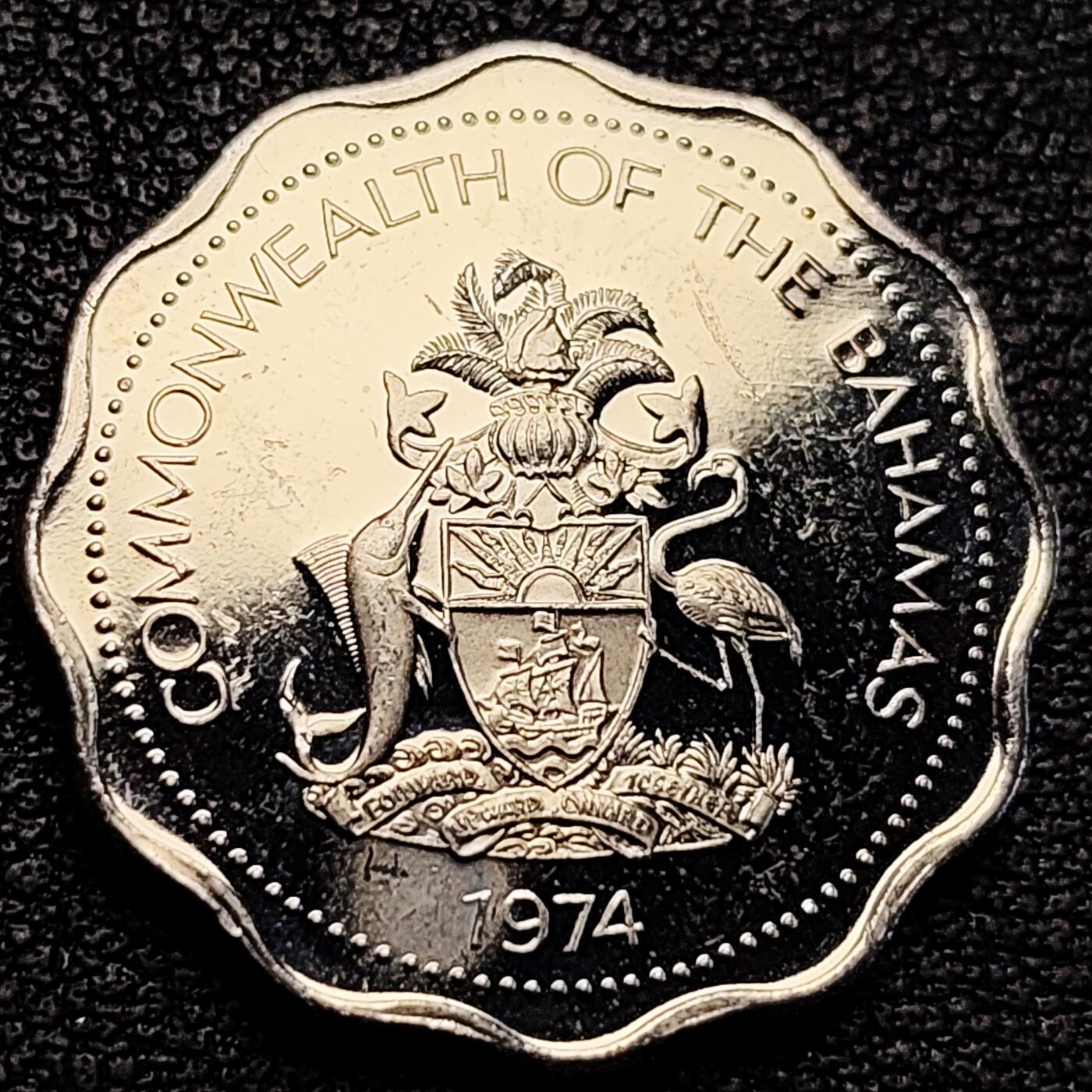 泉币菌-第183场- 精品福利场 。