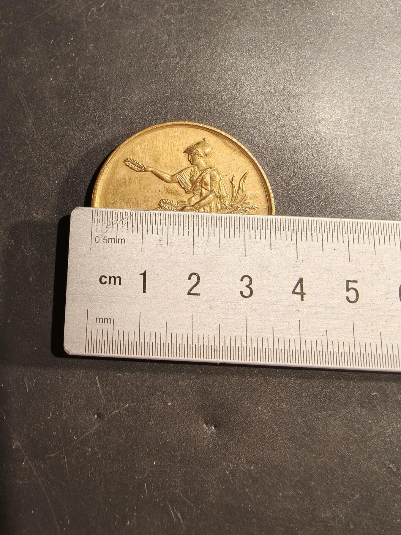 老王徽章第181期 法国1874年巴黎艺术学院镀金大铜章     原盒     蜜蜂cuivre铜标      直径36mm     重量20.4g