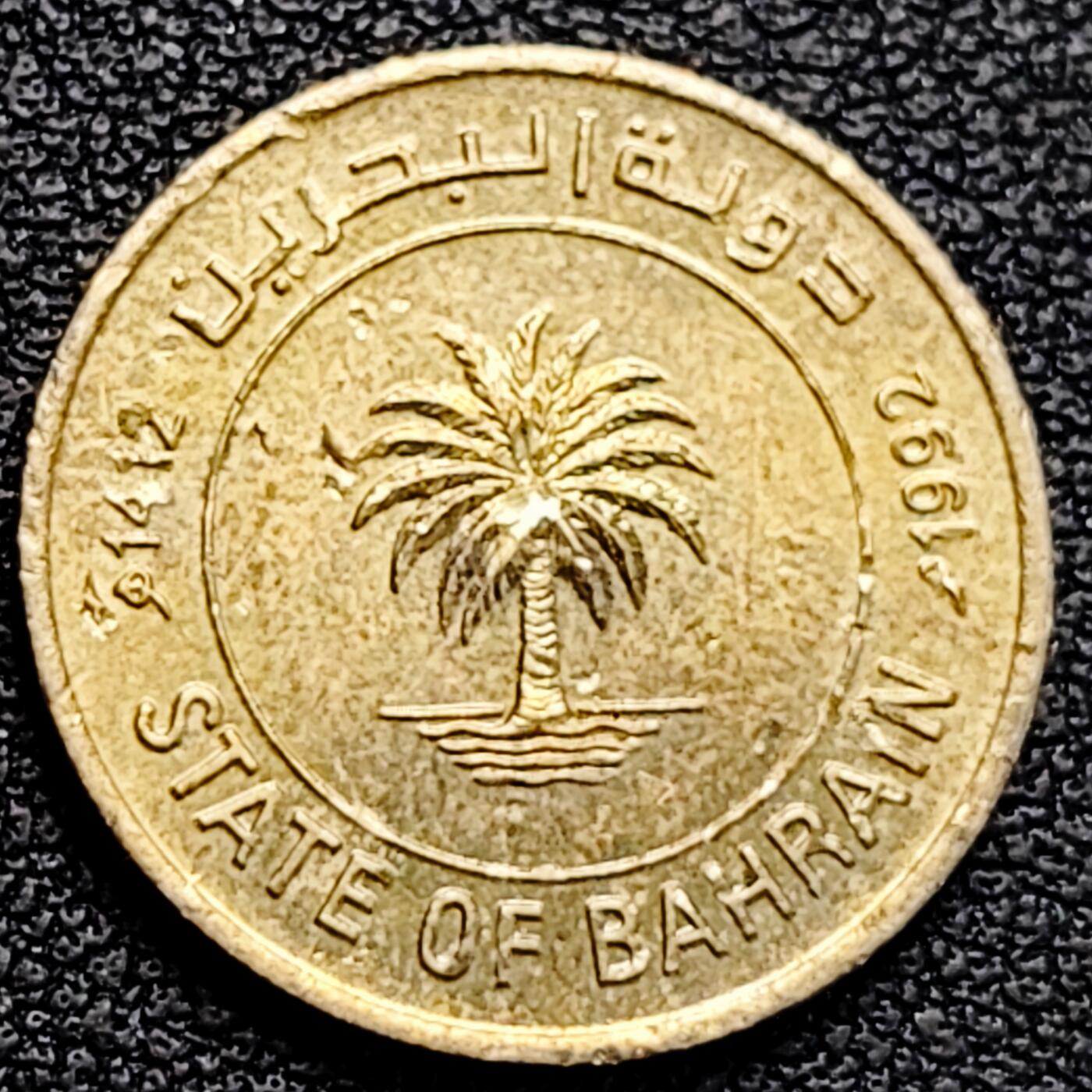 泉币菌-第183场- 精品福利场 。