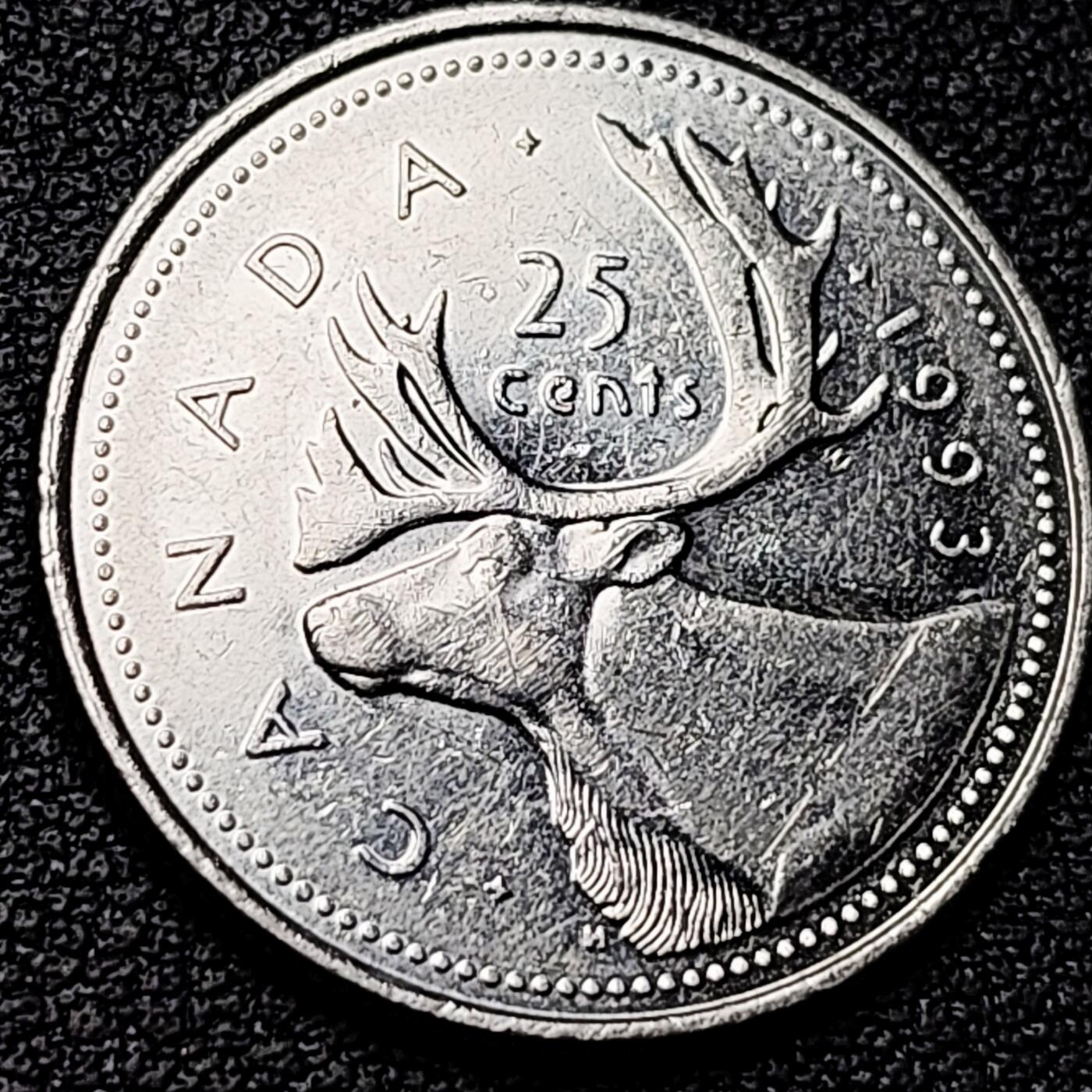 泉币菌-第182场- 精品福利场 。