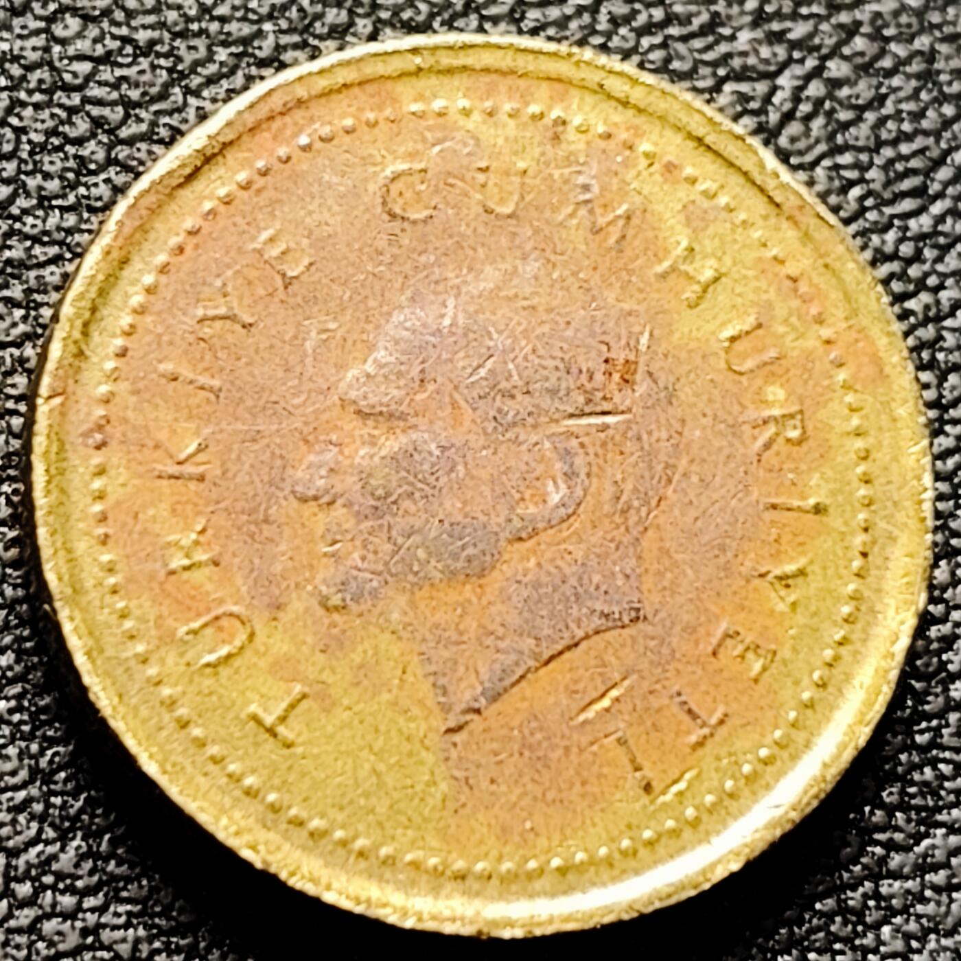 泉币菌-第182场- 精品福利场 。