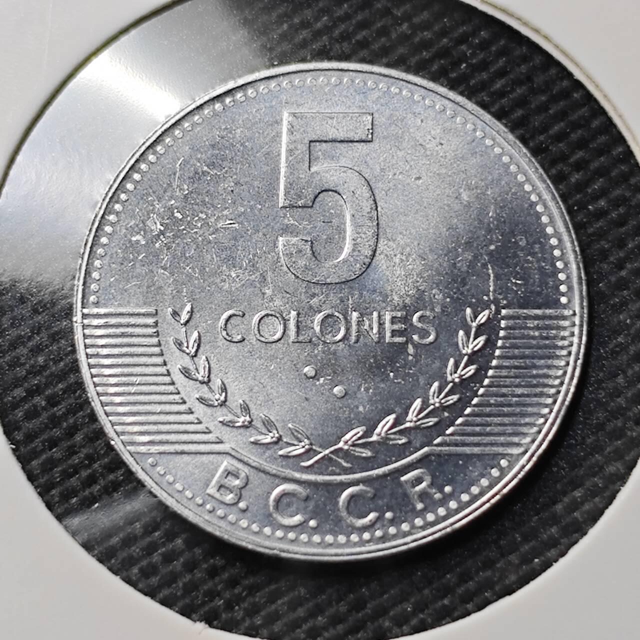 KK钱币收藏小铺  第395期  2月预留时间 周末发货