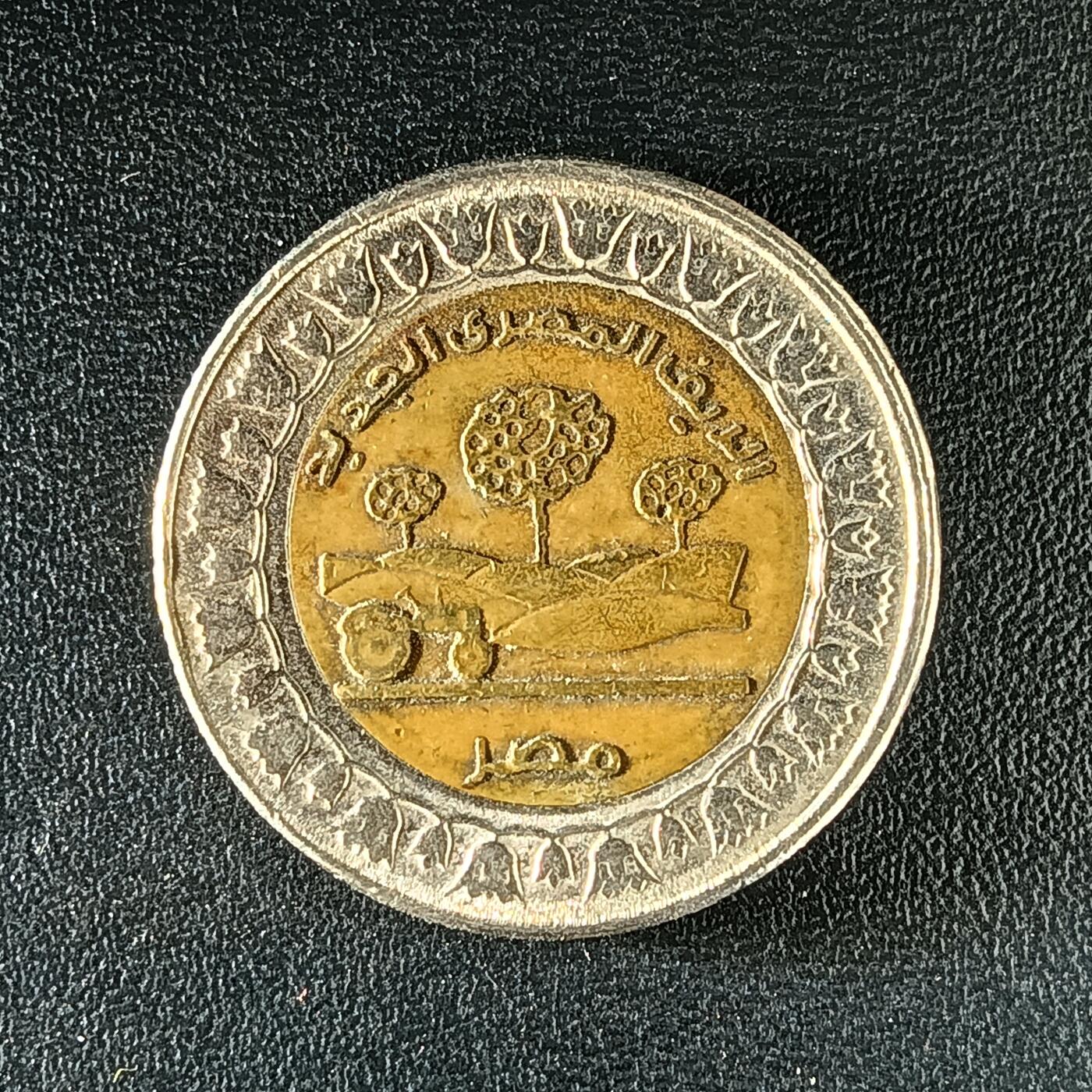 逸泉钱币2026第十二组世界钱币专场春节千件大拍A1614～2574 2180 埃及1磅项目新农村双色比