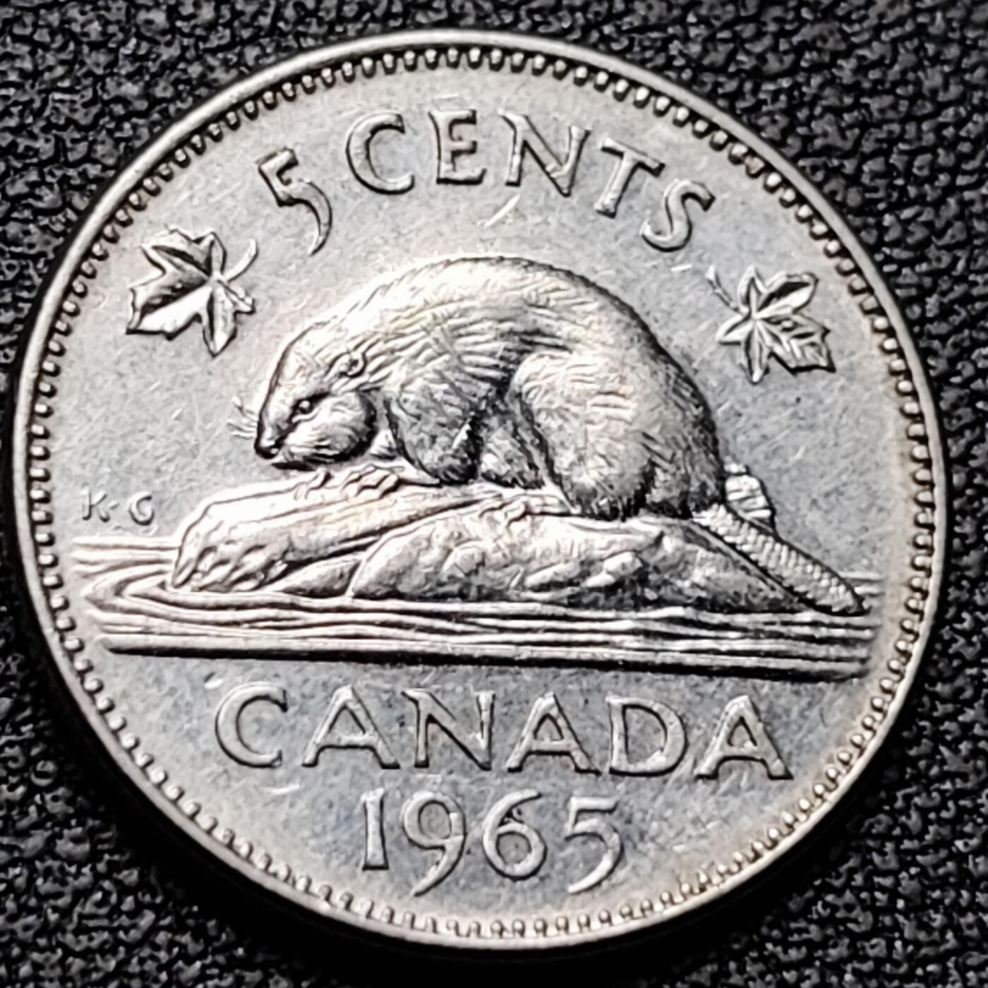 泉币菌-第184场- 精品福利场 。