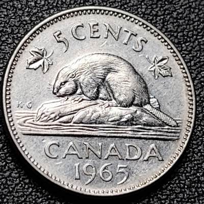 泉币菌-第184场- 精品福利场 今天的第一场 23:30分还有第二场 不见不散（192场和之前的 2月14日发货） - 1965年 加拿大1分镍币 海狸 21mm