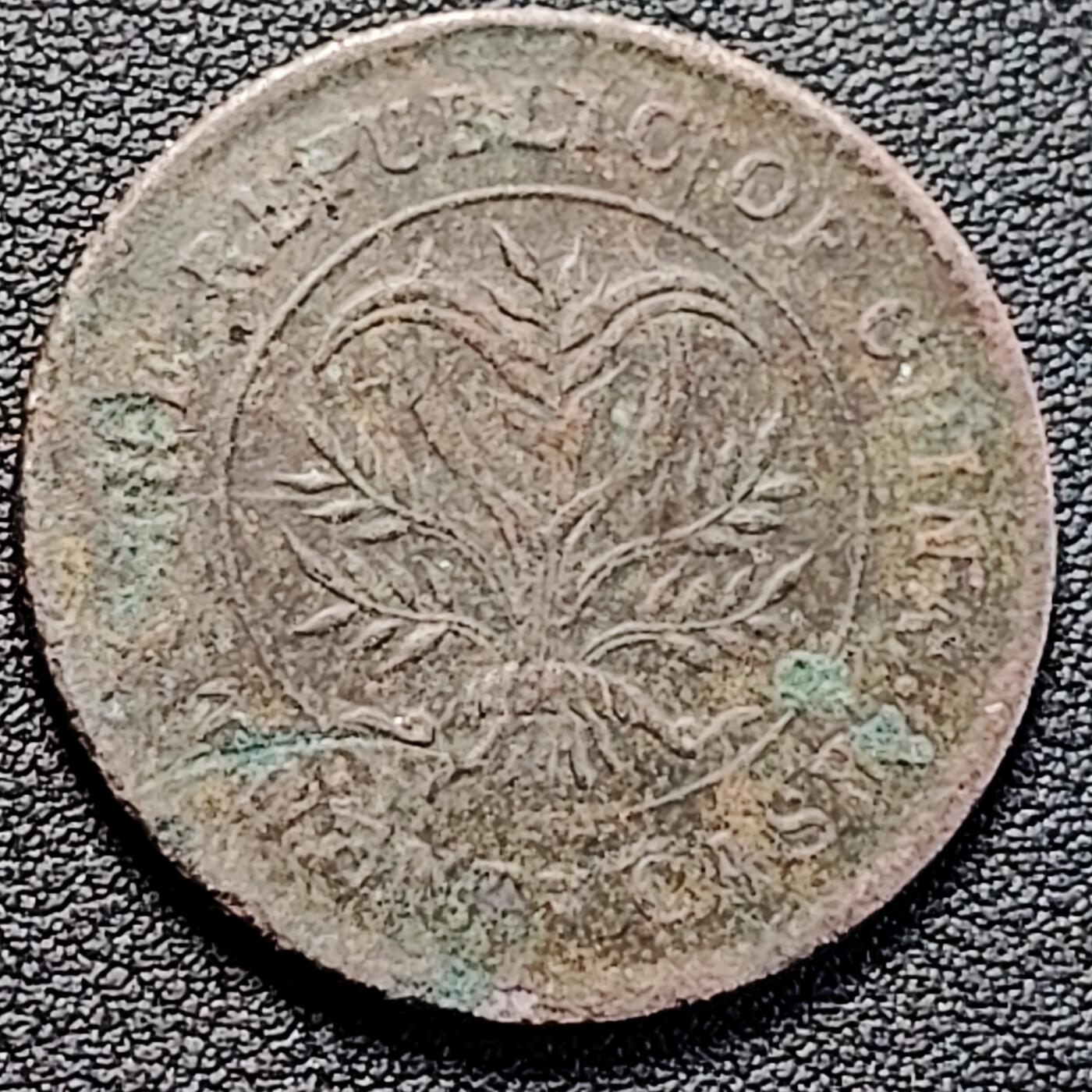 泉币菌-第183场- 精品福利场 。