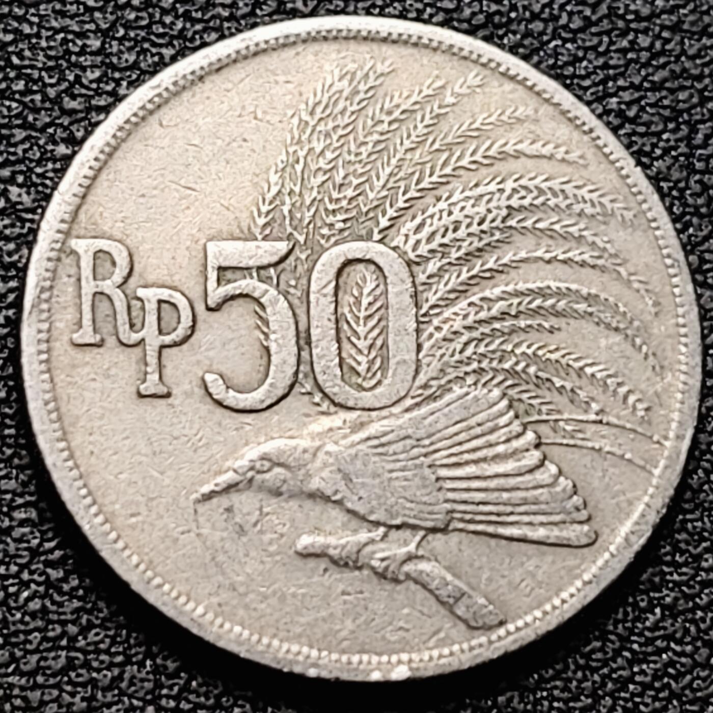 泉币菌-第184场- 精品福利场 。