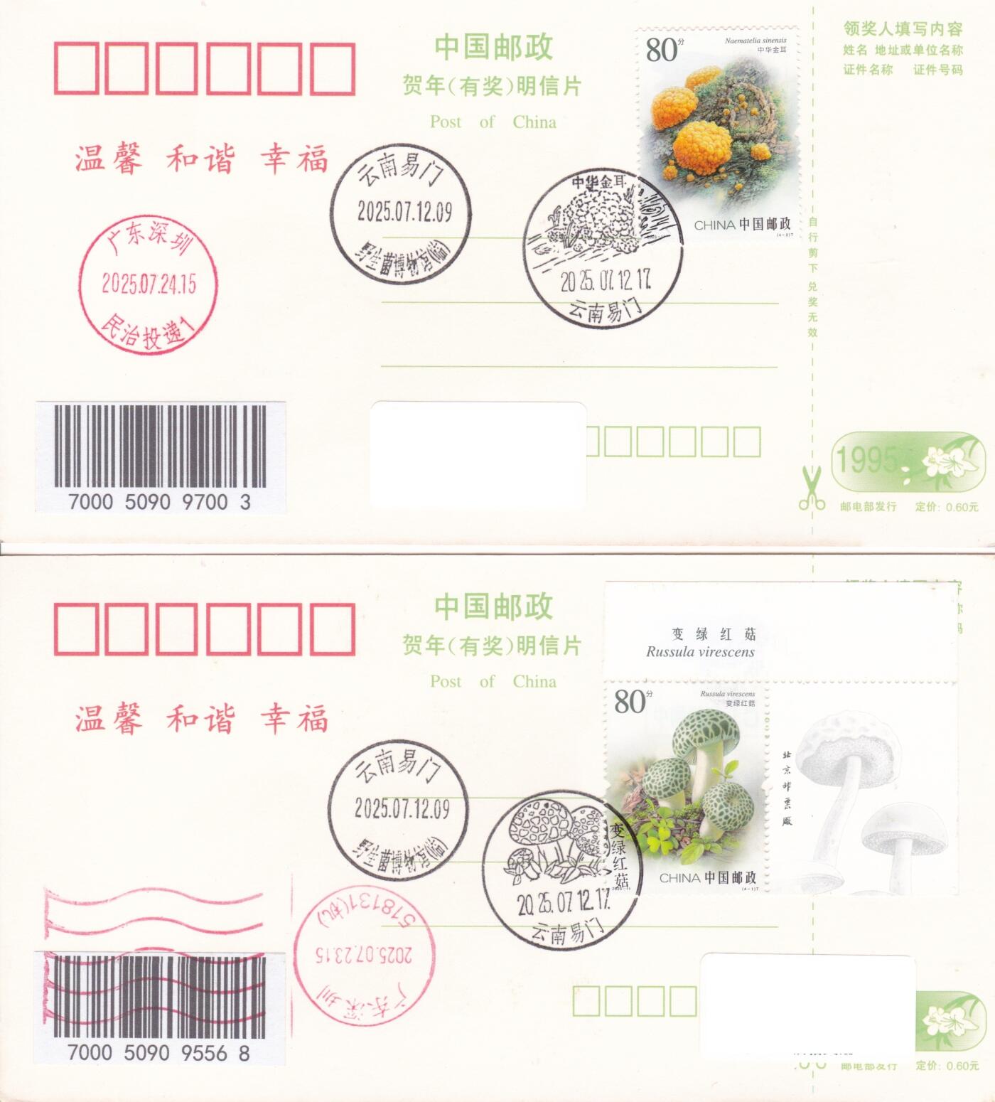 02月19日（周四）20:00 中国大陆2025年首日实寄封 2025中国大陆《食用菌（二）》一票一封 加盖对应风景戳 云南野生菌博物馆原地首日平寄国内 一套4枚