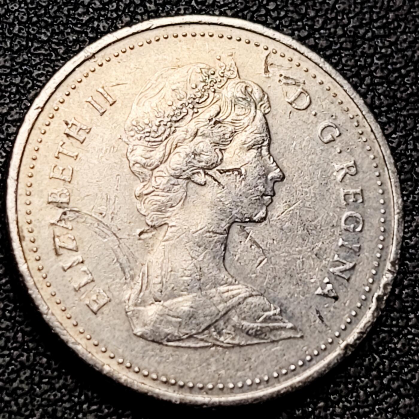 泉币菌-第182场- 精品福利场 。