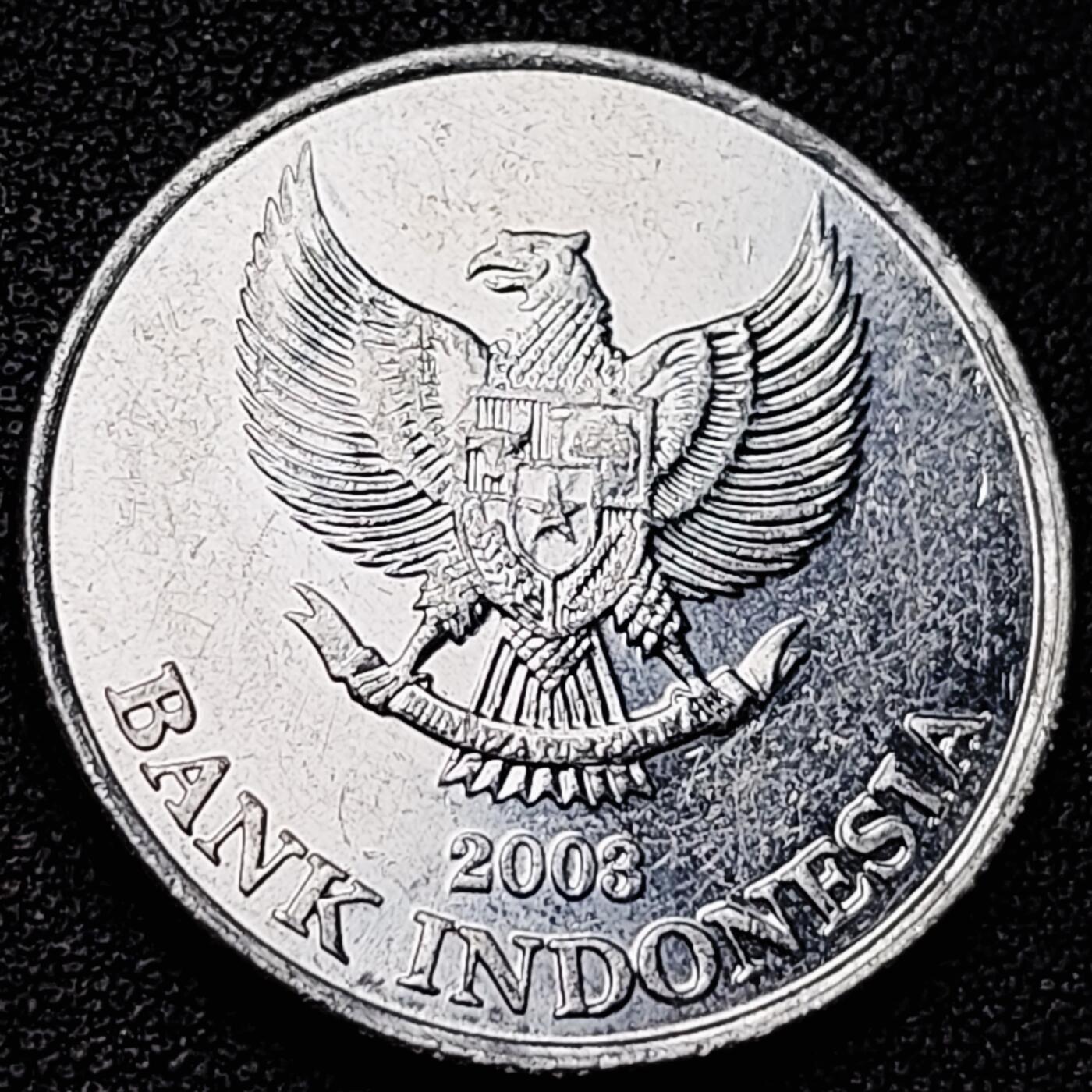 泉币菌-第182场- 精品福利场 。