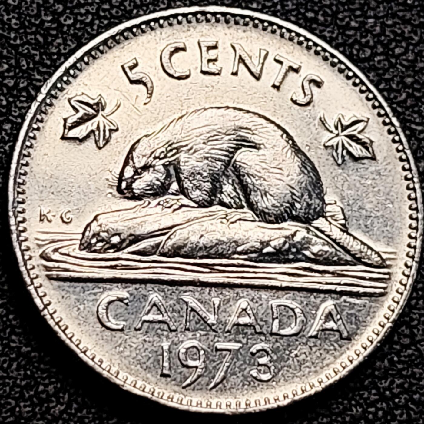 泉币菌-第183场- 精品福利场 。