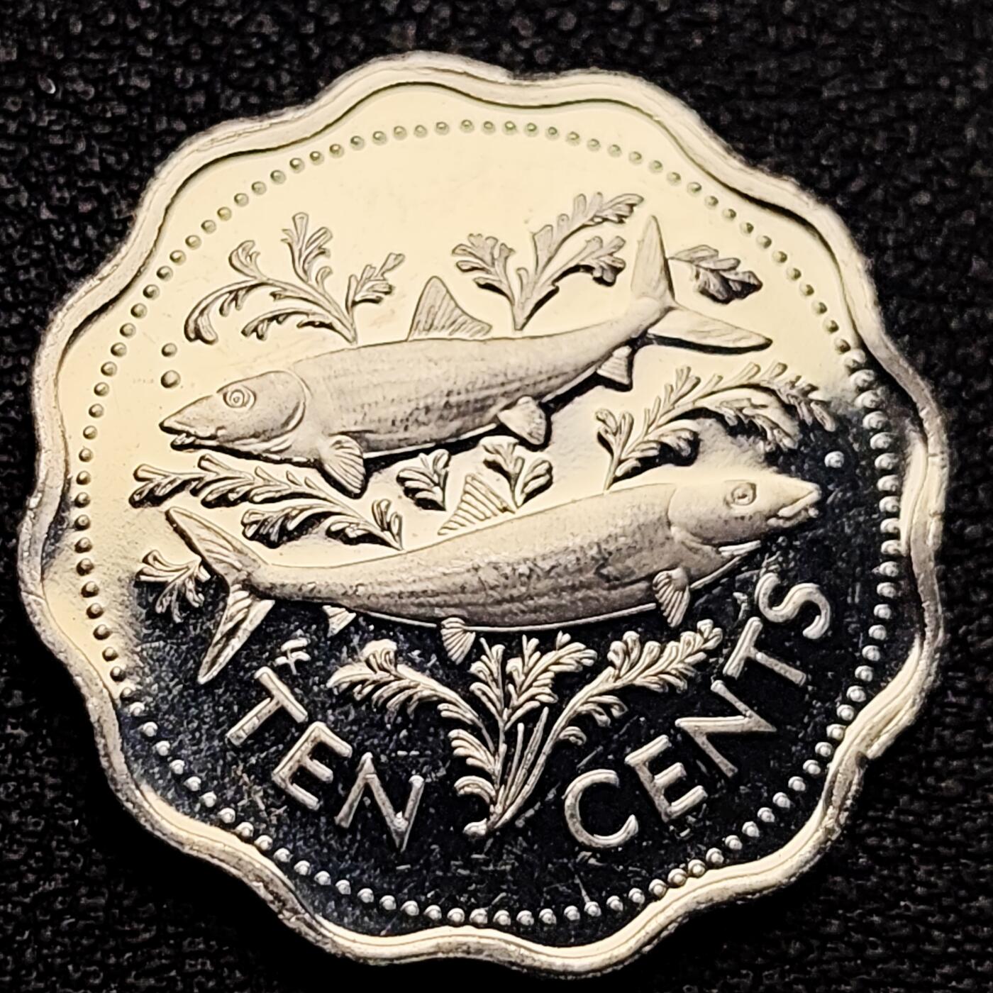 泉币菌-第183场- 精品福利场 。