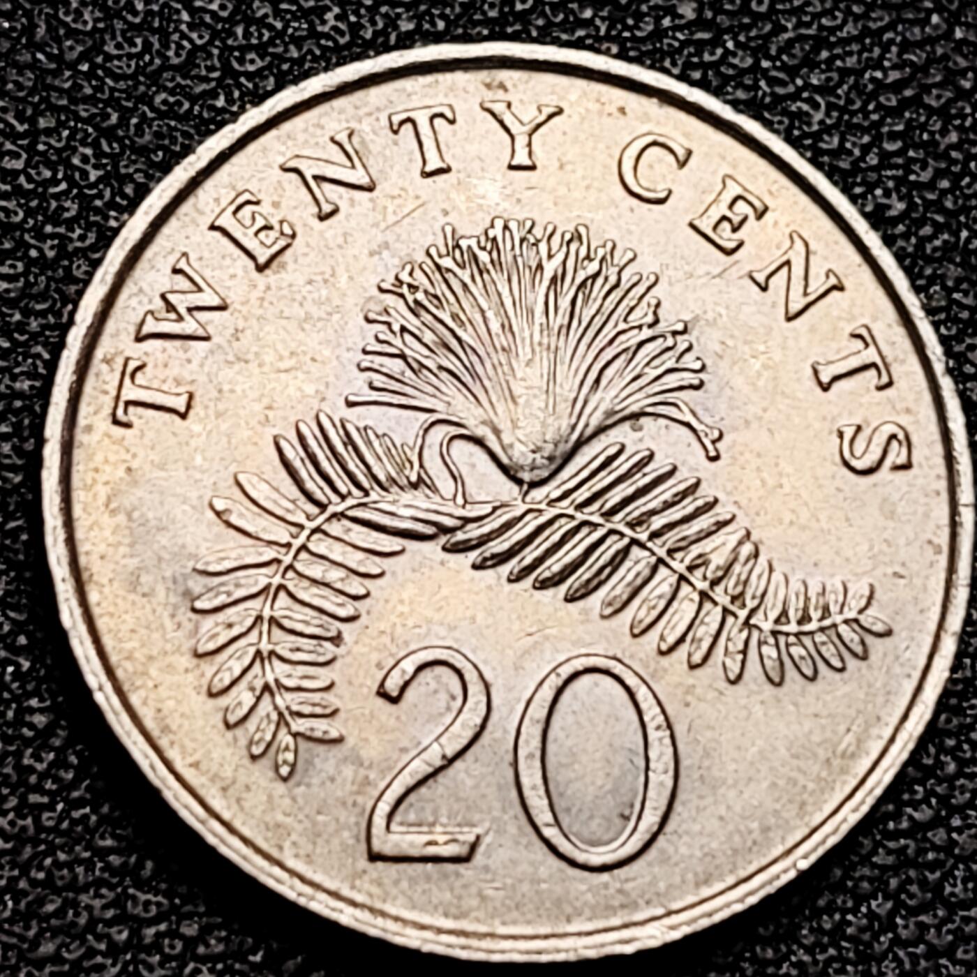 泉币菌-第185场- 精品福利场 。