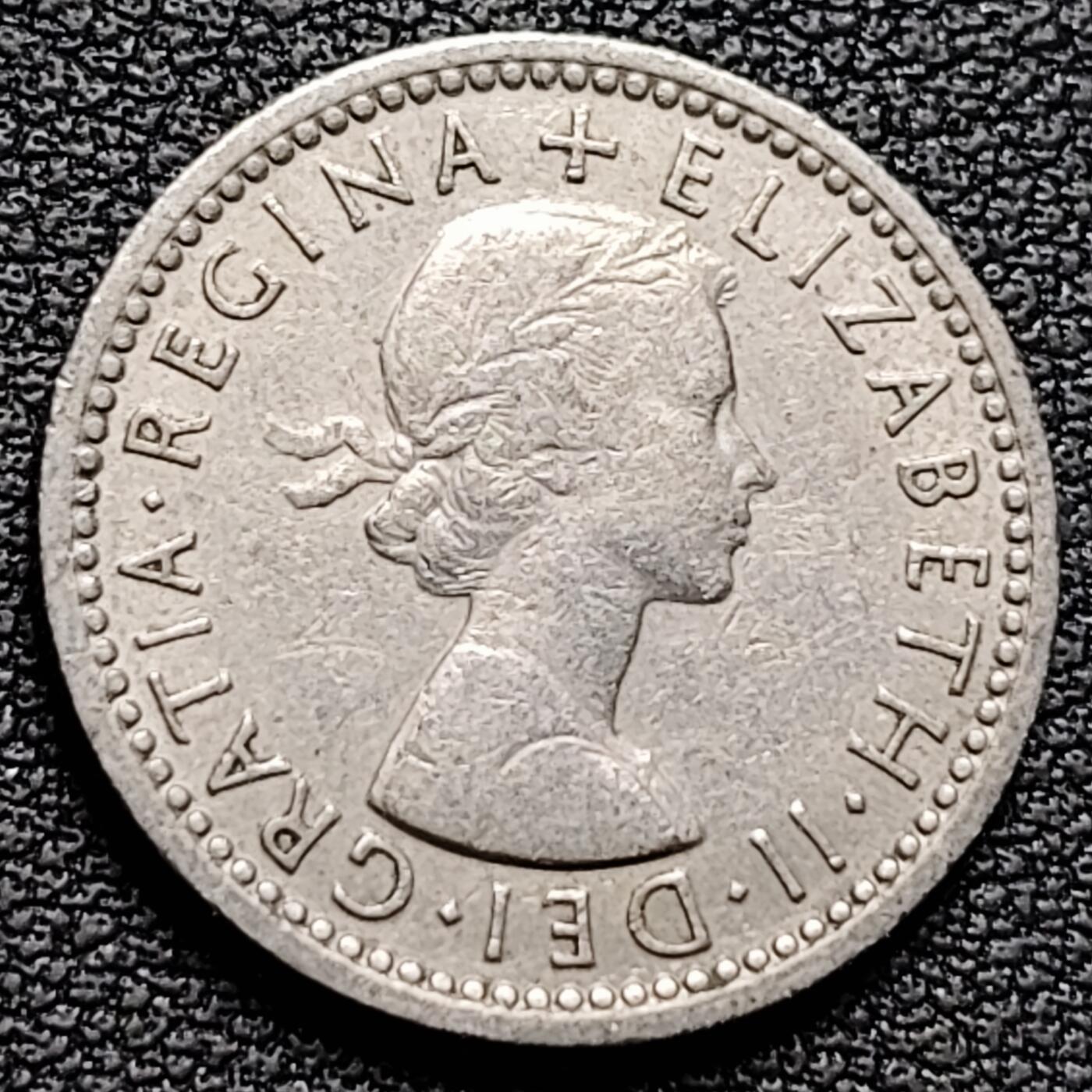 泉币菌-第184场- 精品福利场 。