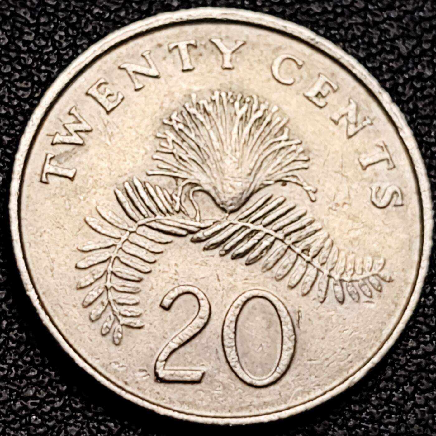 泉币菌-第185场- 精品福利场 。