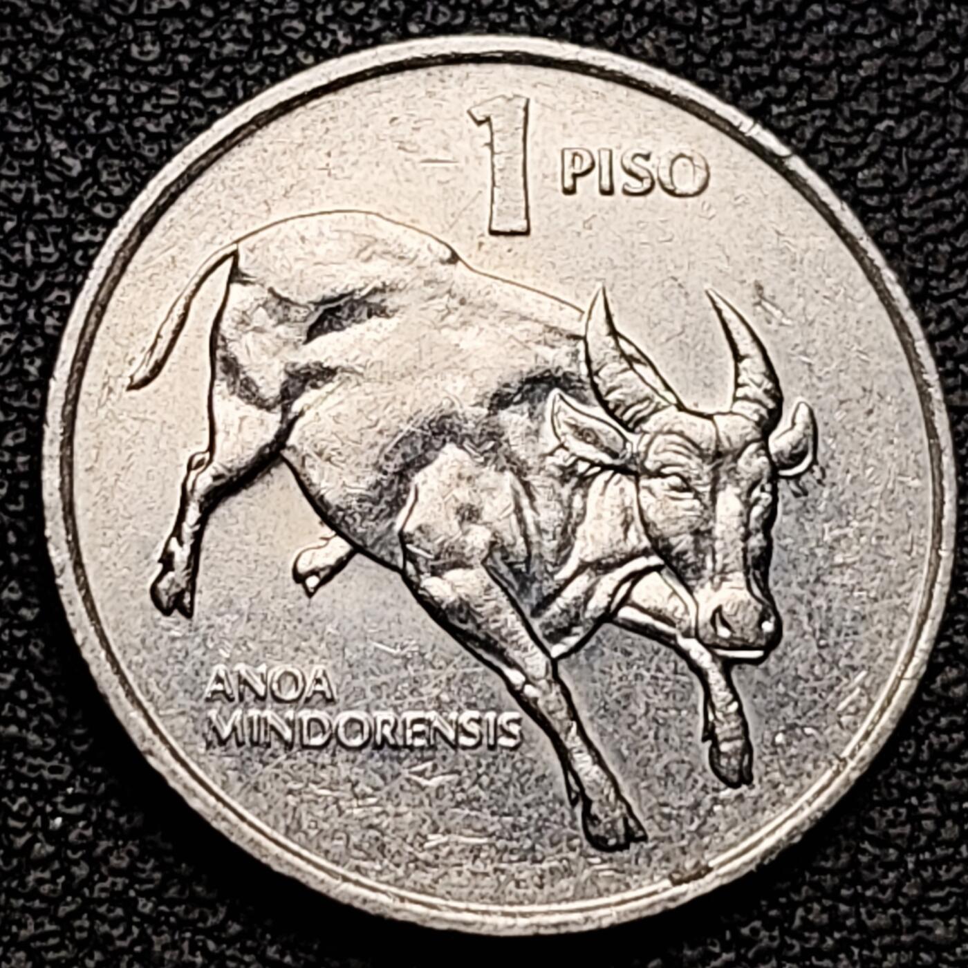 泉币菌-第184场- 精品福利场 。