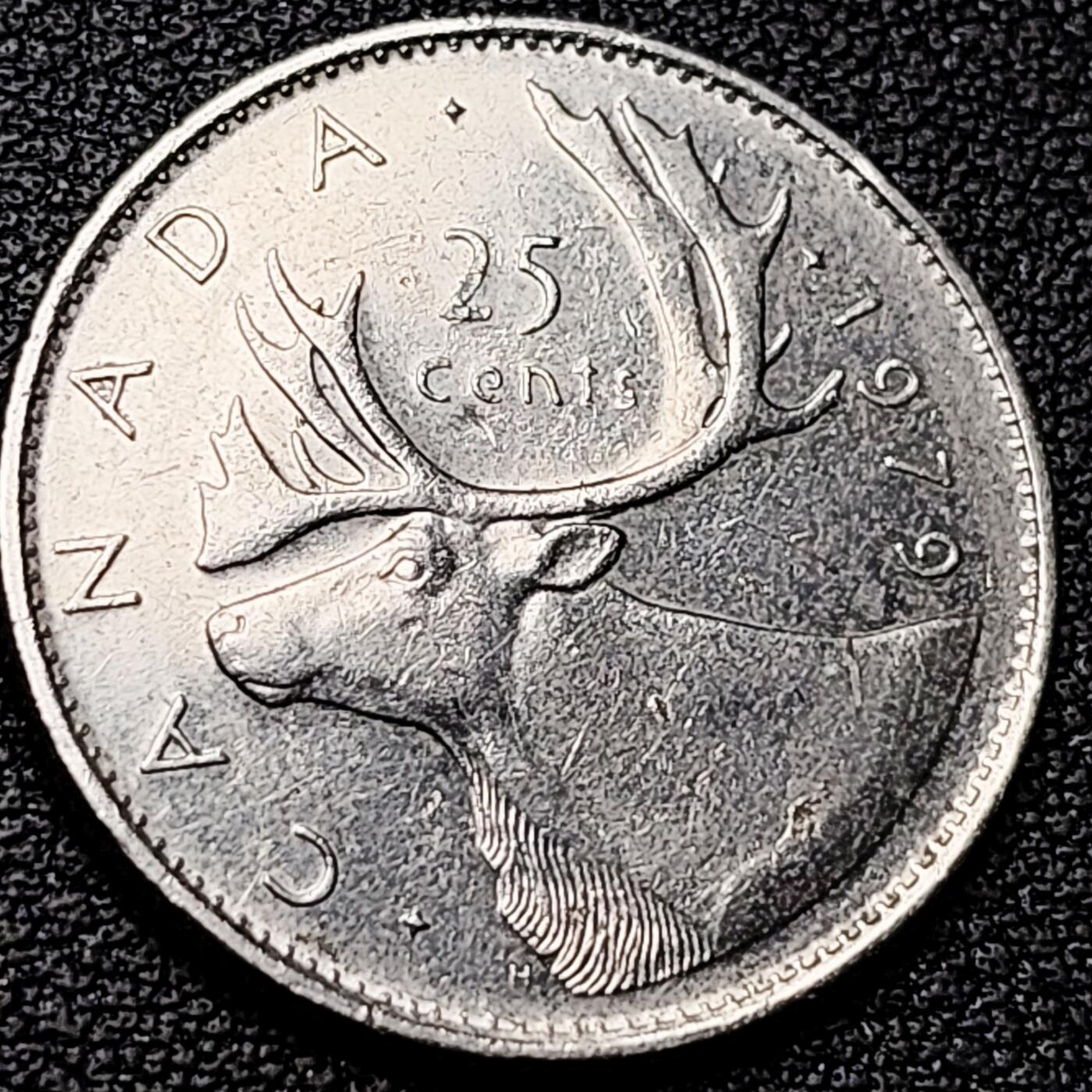 泉币菌-第182场- 精品福利场 。