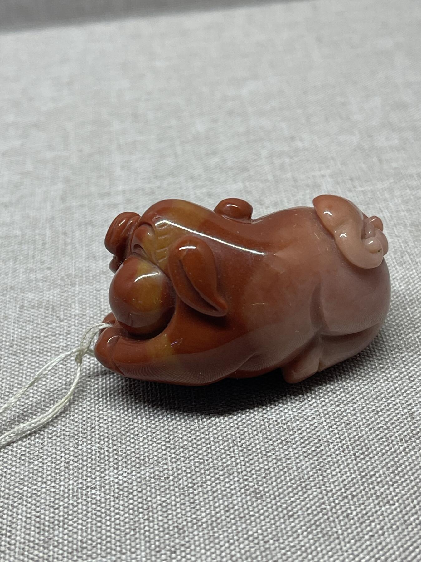 杂项 战国红招财猪