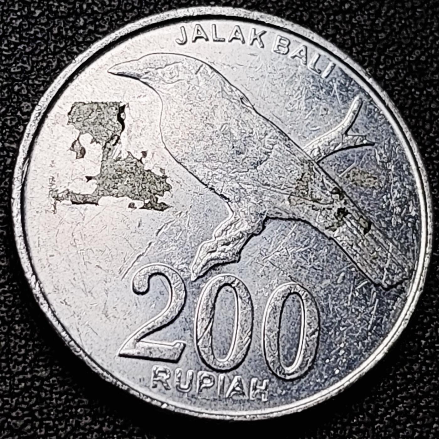 泉币菌-第182场- 精品福利场 。