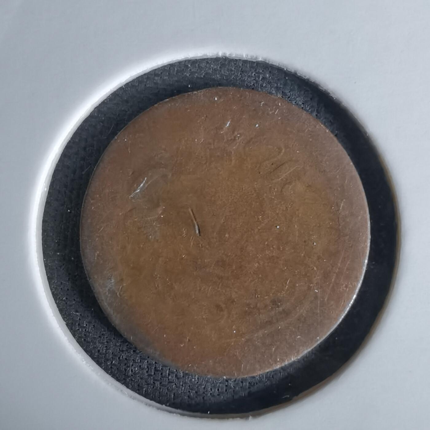 沼泽如烟--第991场 比利时一分