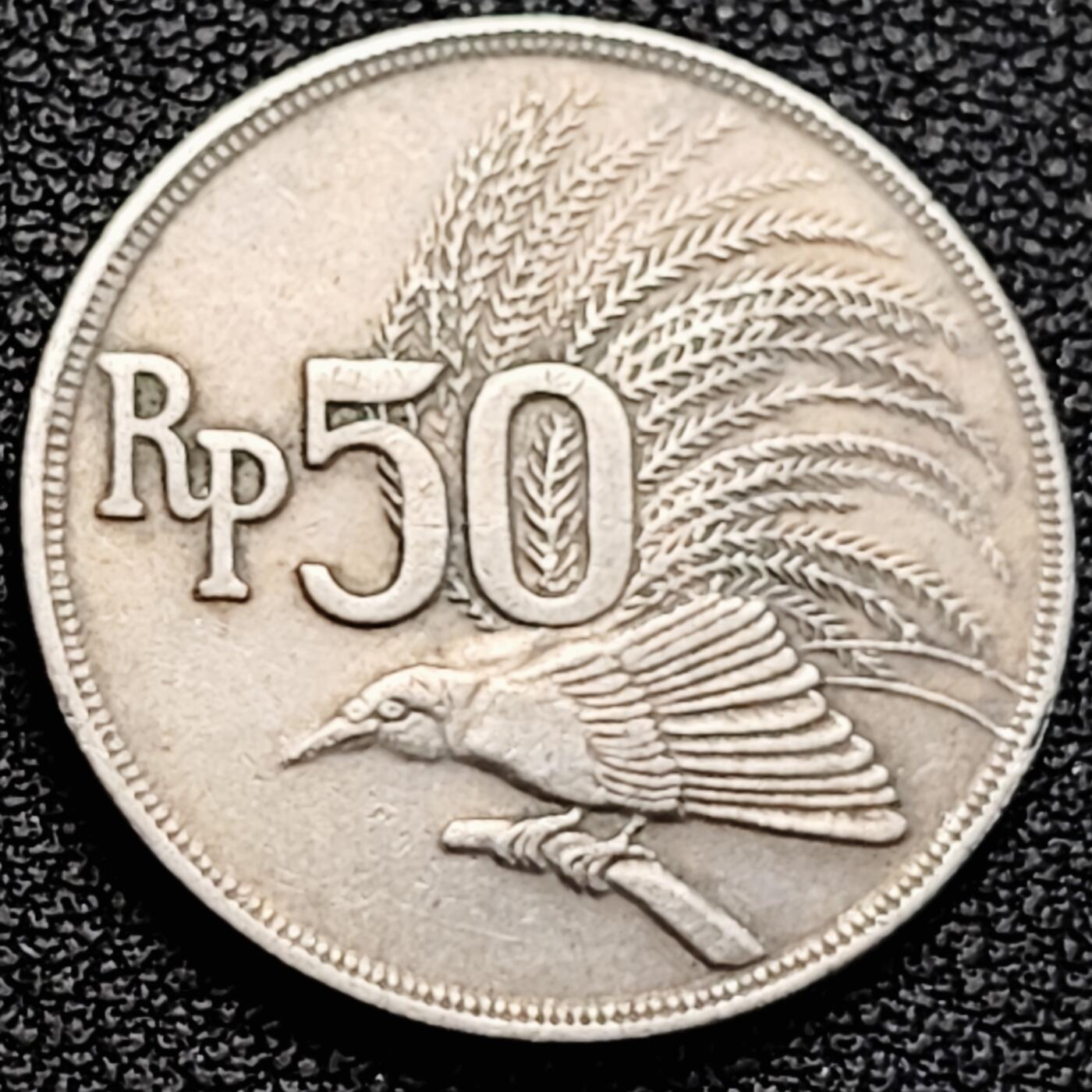 泉币菌-第183场- 精品福利场 。