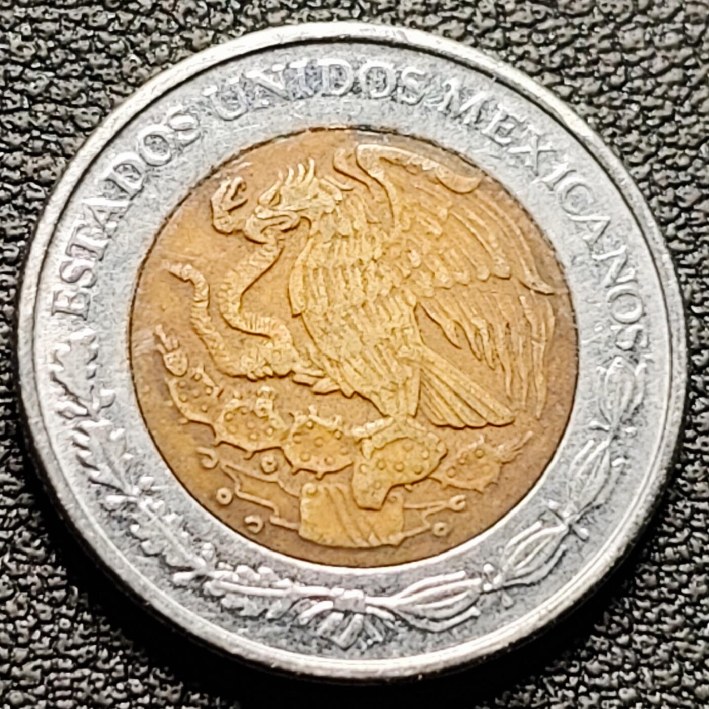 泉币菌-第184场- 精品福利场 。