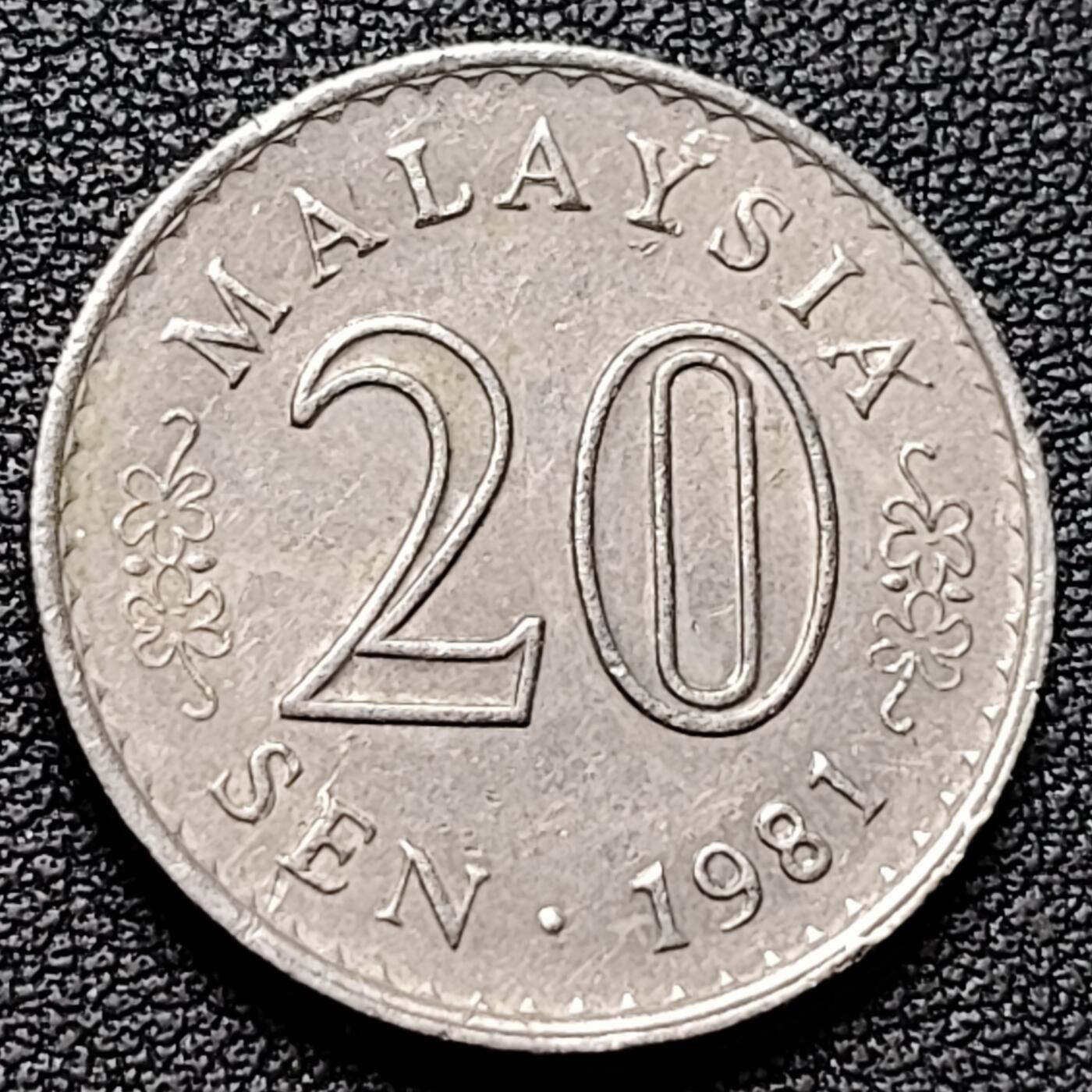 泉币菌-第184场- 精品福利场 。